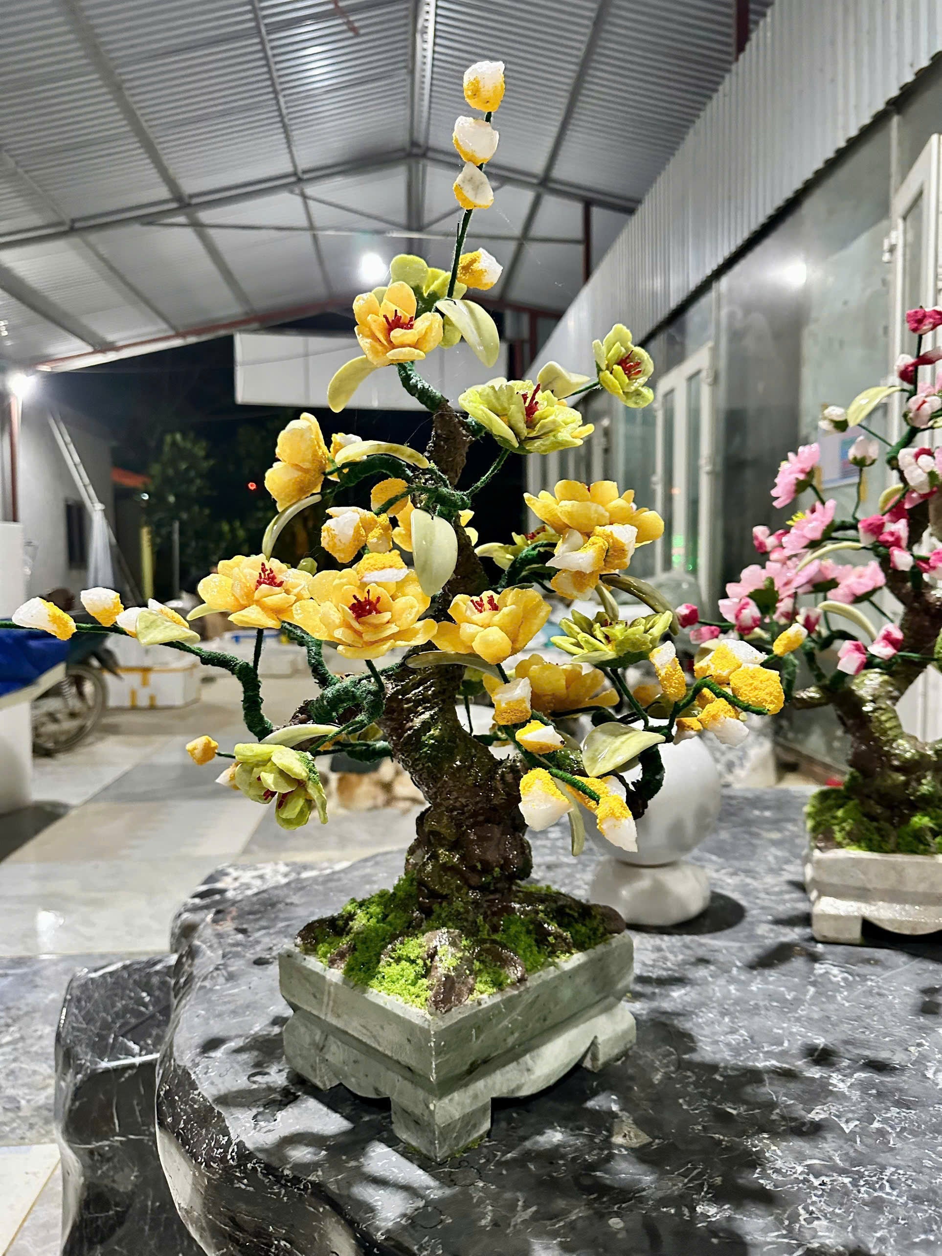 Cây Cảnh Đá