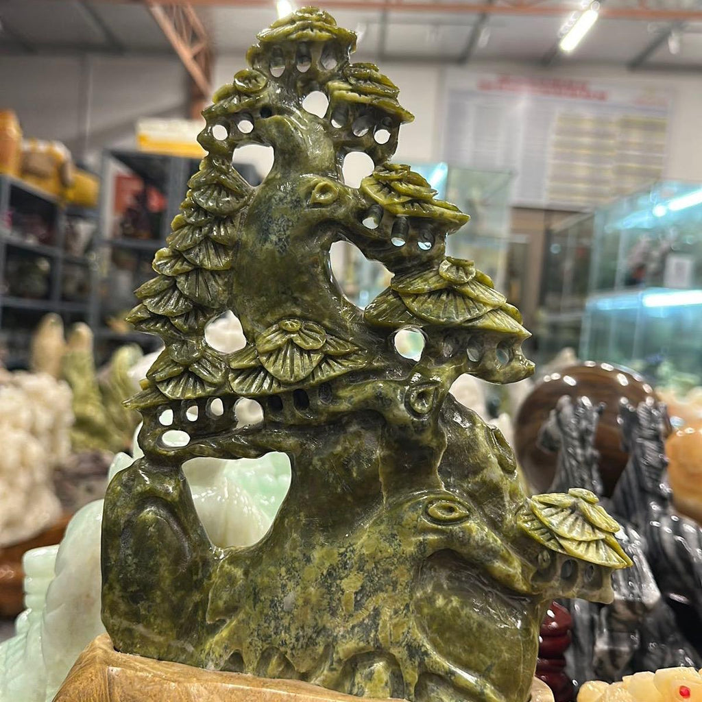 Cây  tùng ngọc sùng đô