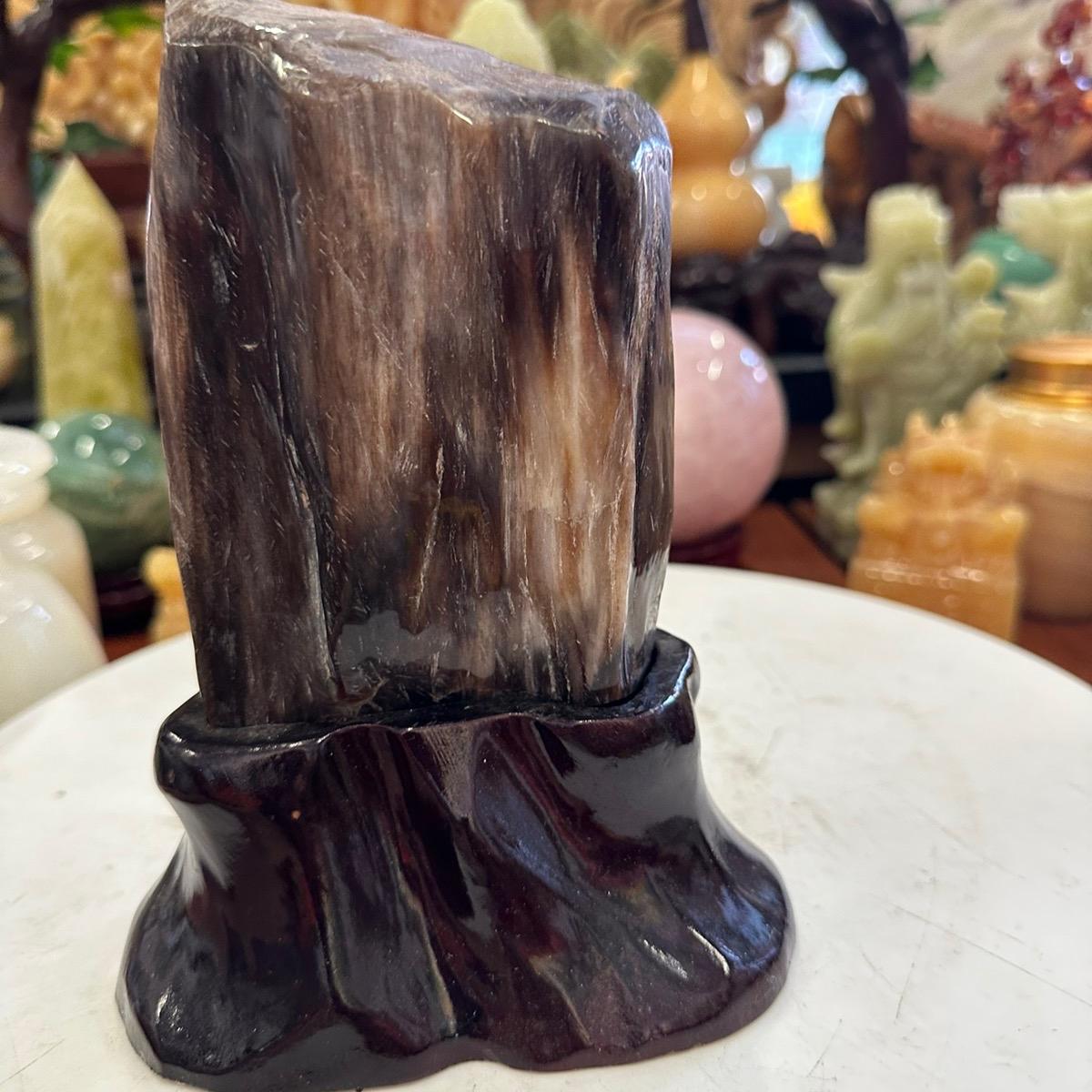 Gỗ hoá thạch , dấu ấn của thời gian