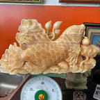 CÁC CHÉP TRẦU ĐÀI SEN