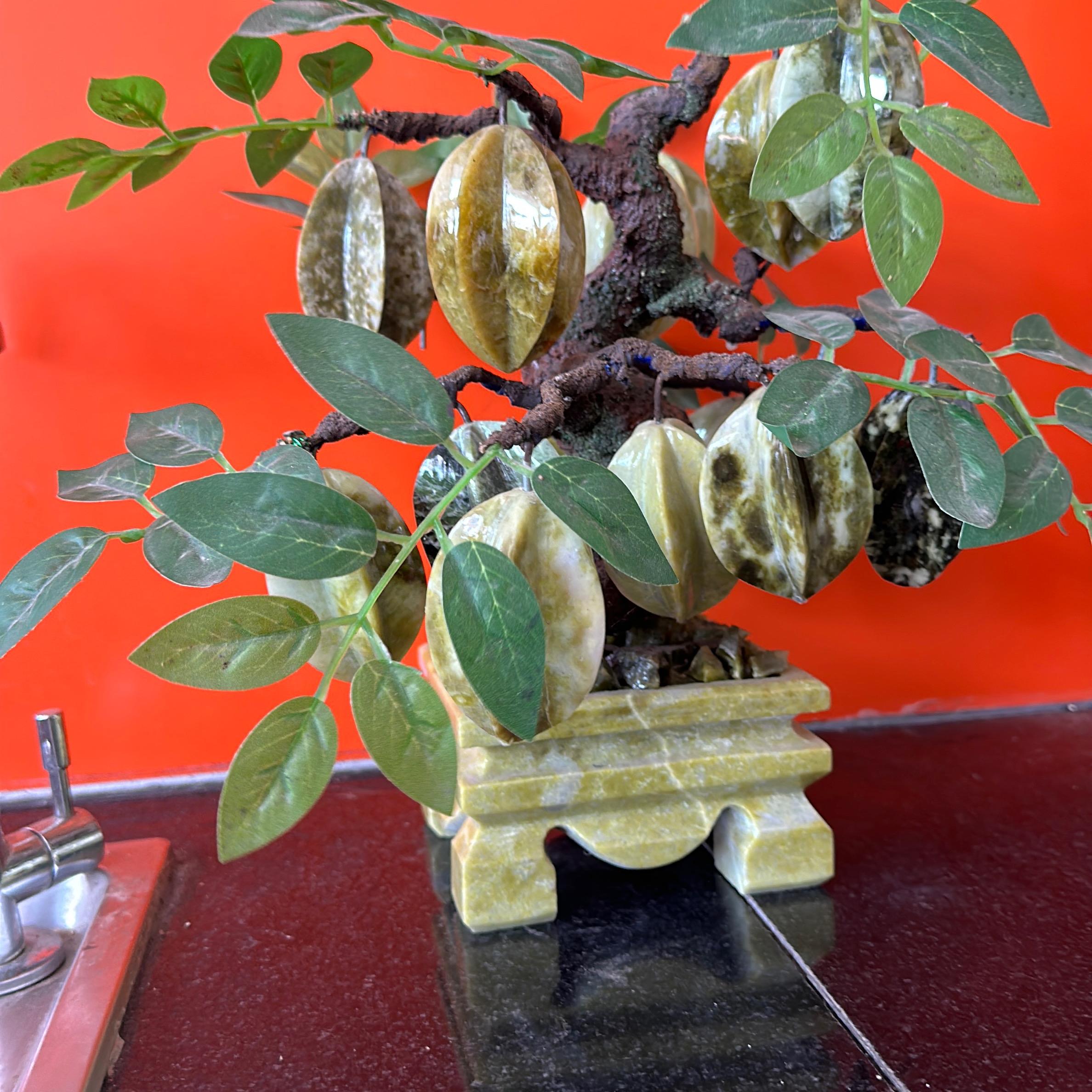 Cây khế  đá sapentin 18 trái