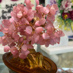 Cây đá thạch anh Hồng