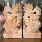 Song long đủ màu