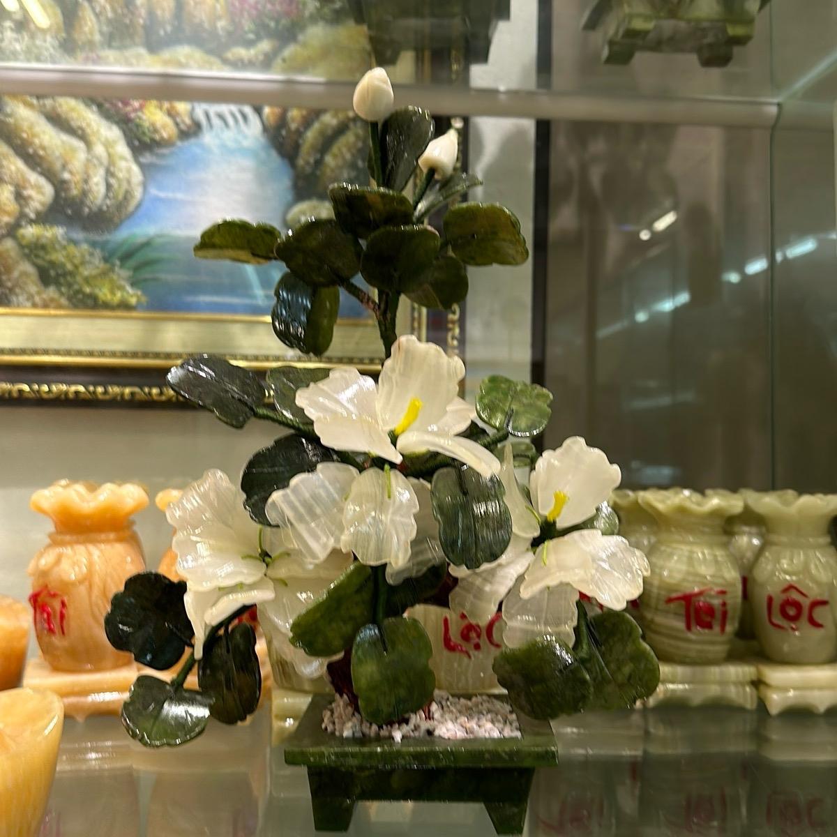 Cây hoa đá thạch anh trắng