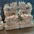 Song long đủ màu