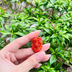 Mặt dây chuyền chất liệu đá Cẩm thạch  màu đỏ