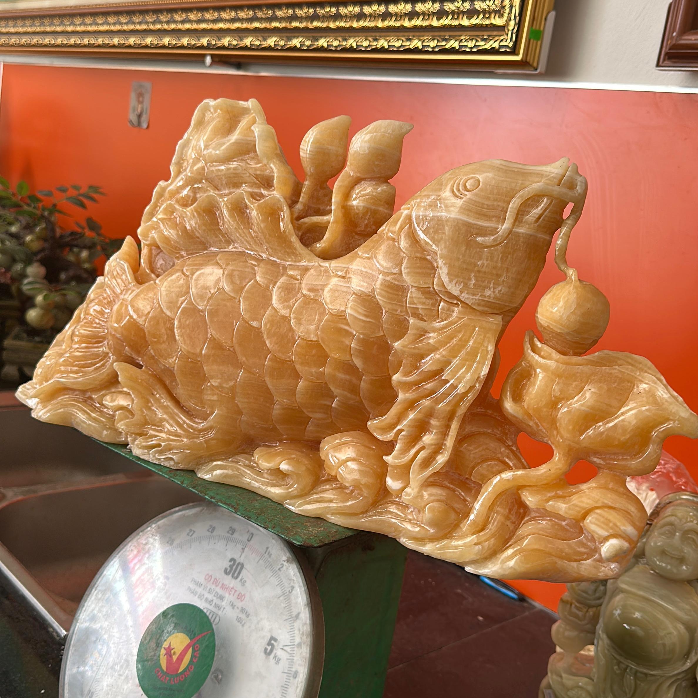 CÁC CHÉP TRẦU ĐÀI SEN