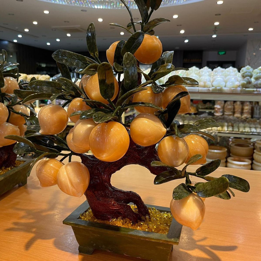 Cây đào ngọc hoàng Long