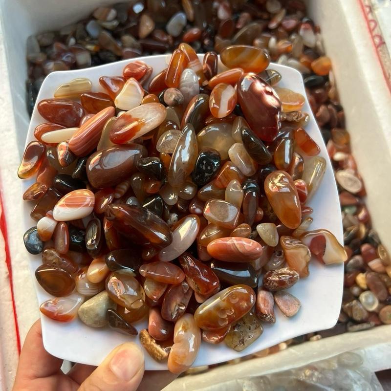 Mã Não đỏ - Trang trí đẹp mắt