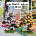 Cây đào phong thuỷ , đá vàng hoàng long và đá Thạch anh Hồng