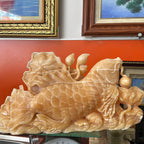 CÁC CHÉP TRẦU ĐÀI SEN