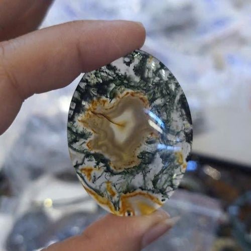 Băng Ngọc Thuỷ Tảo Rêu – ảnh sản phẩm 2 – Xuân Ngọc Phát