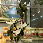 Cây hoa đá thạch anh trắng