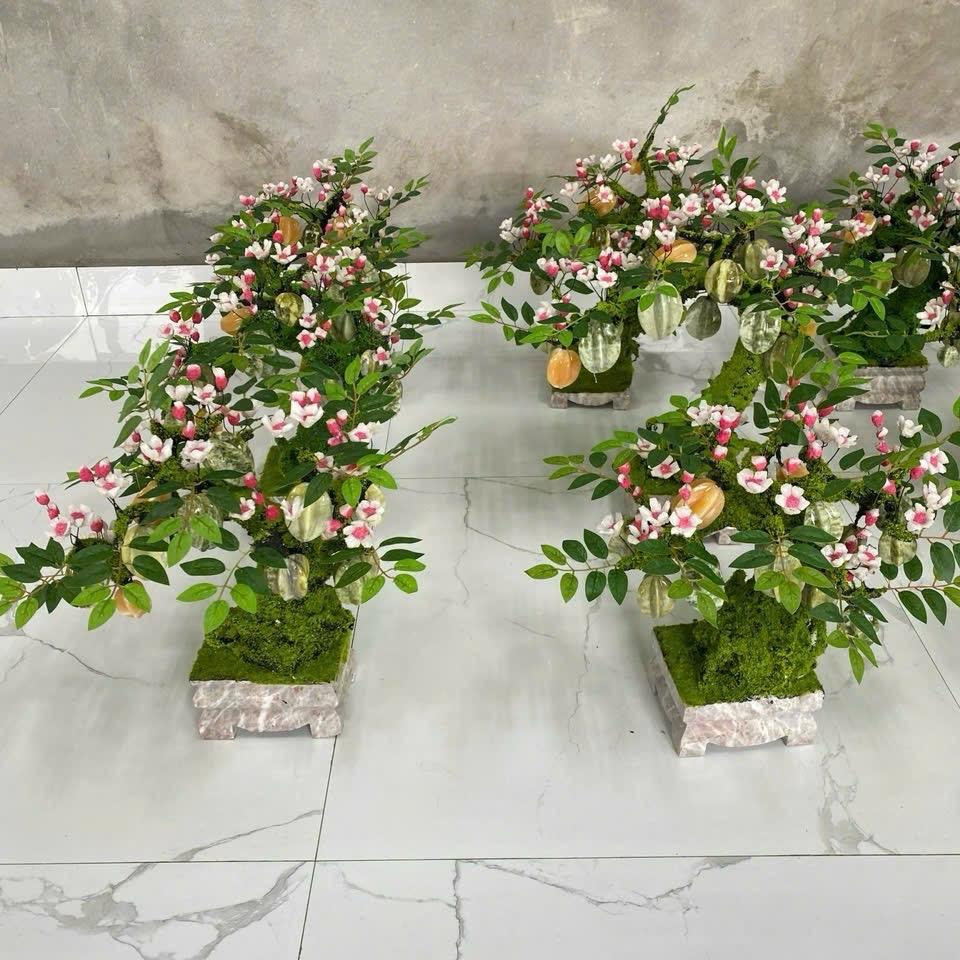 Cây khế   Xanh  đá sepentin  trưng phòng khách ạ