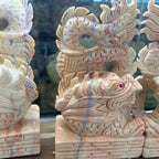 Song long đủ màu