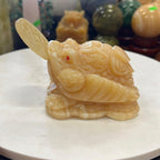Cóc đá vàng hoàng long 10cm