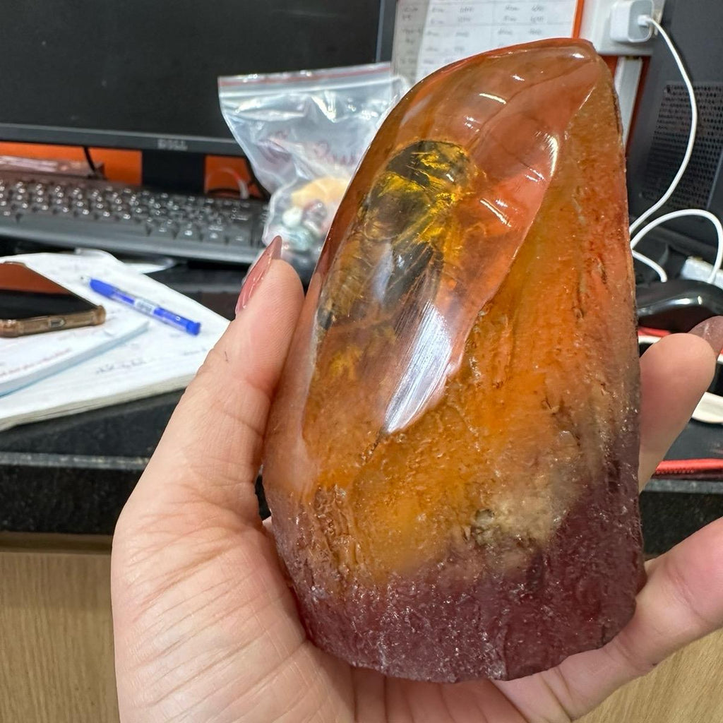 Đá hổ phách  hình ve sầu hóa đá Trang trí nhà