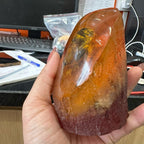 Đá hổ phách  hình ve sầu hóa đá Trang trí nhà