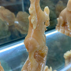 Song mã đủ màu sắc