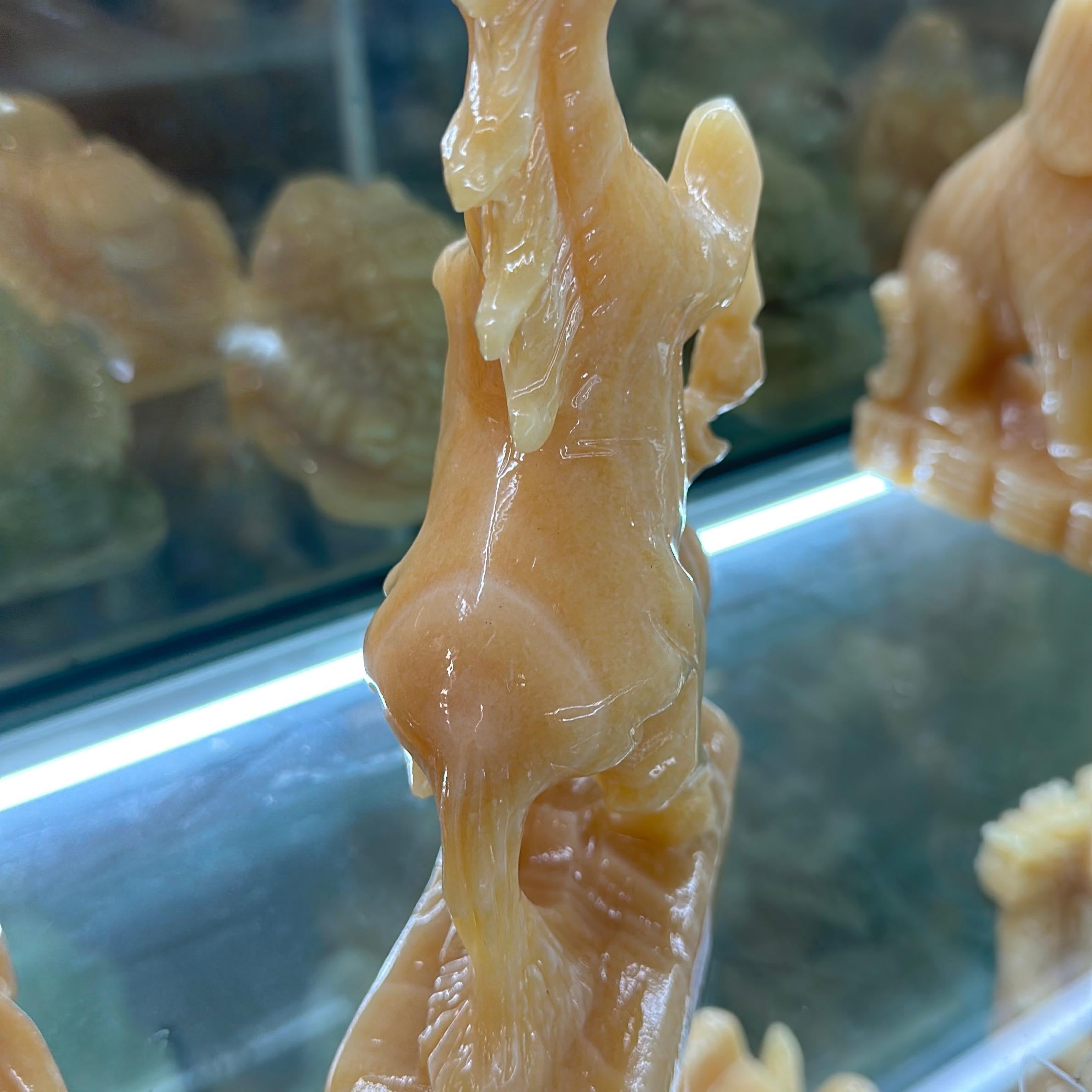 Song mã đủ màu sắc