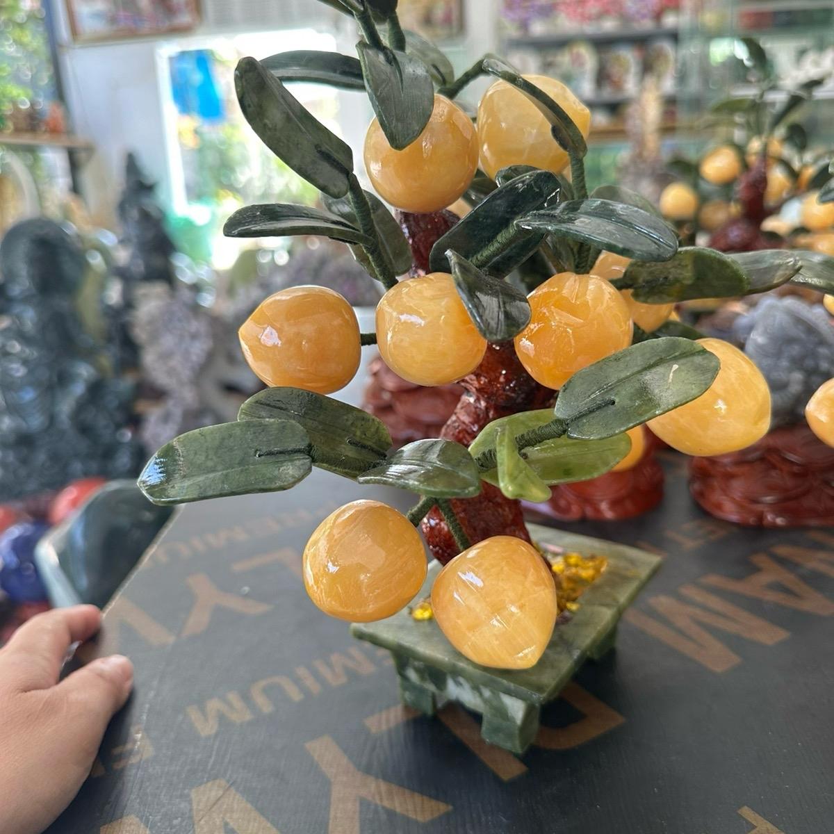 Cây đào , đá vàng hoàng Long 12 trái,  lá màu xanh đá serpentine