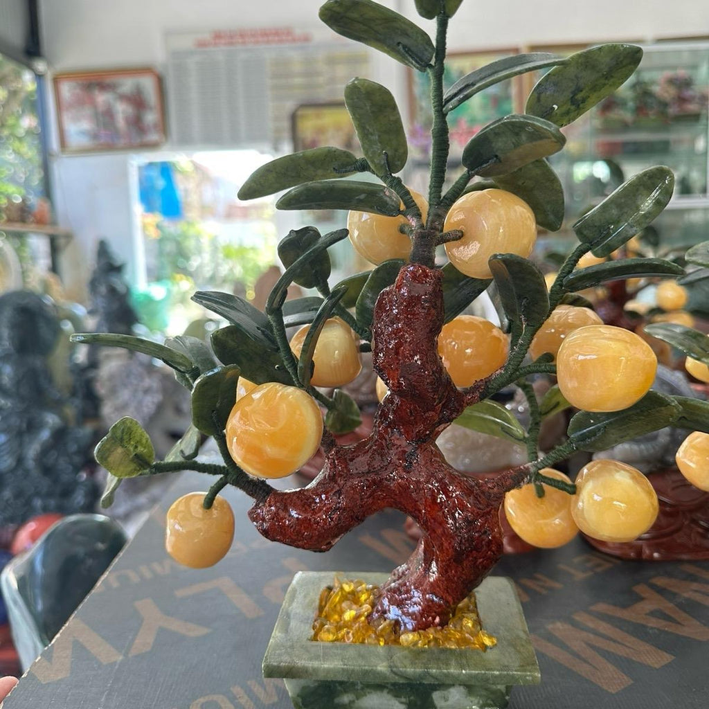 Cây đào , đá vàng hoàng Long 12 trái,  lá màu xanh đá serpentine
