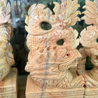 Song long đủ màu