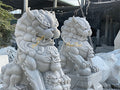 Kỳ Lân đá Non Nước Tự Nhiên - Cẩm Thạch - Trắng - Cao 155cm - Phù Hợp Sân Vườn và Nhà Thờ - Tân Ngọc Phát
