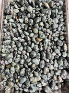 08 - Đá Jasper cá sấu xanh vân mắt phong thủy