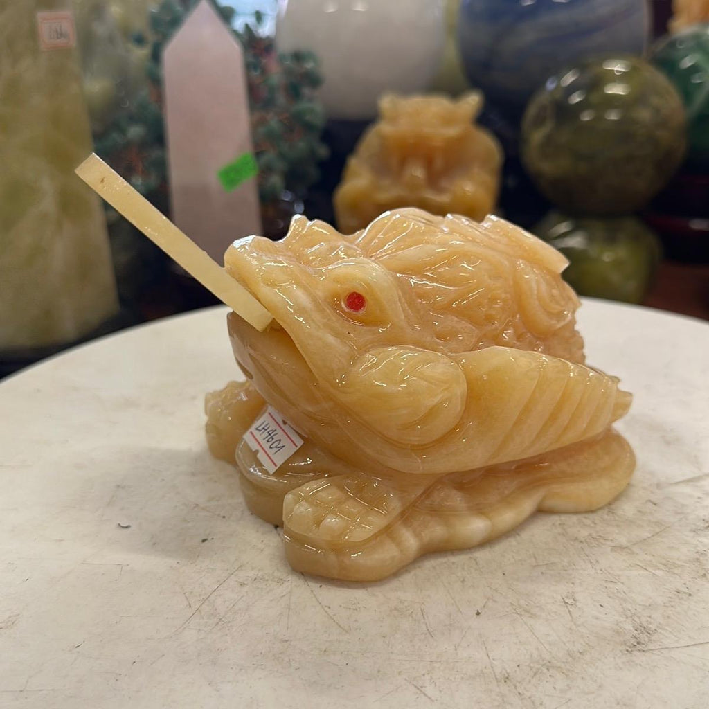 Cóc đá vàng hoàng long 10cm