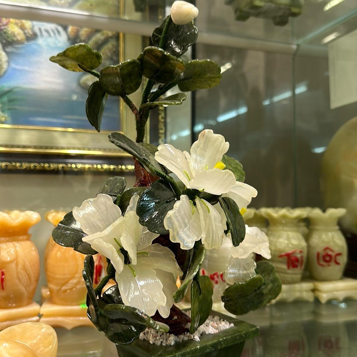 Cây hoa đá thạch anh trắng