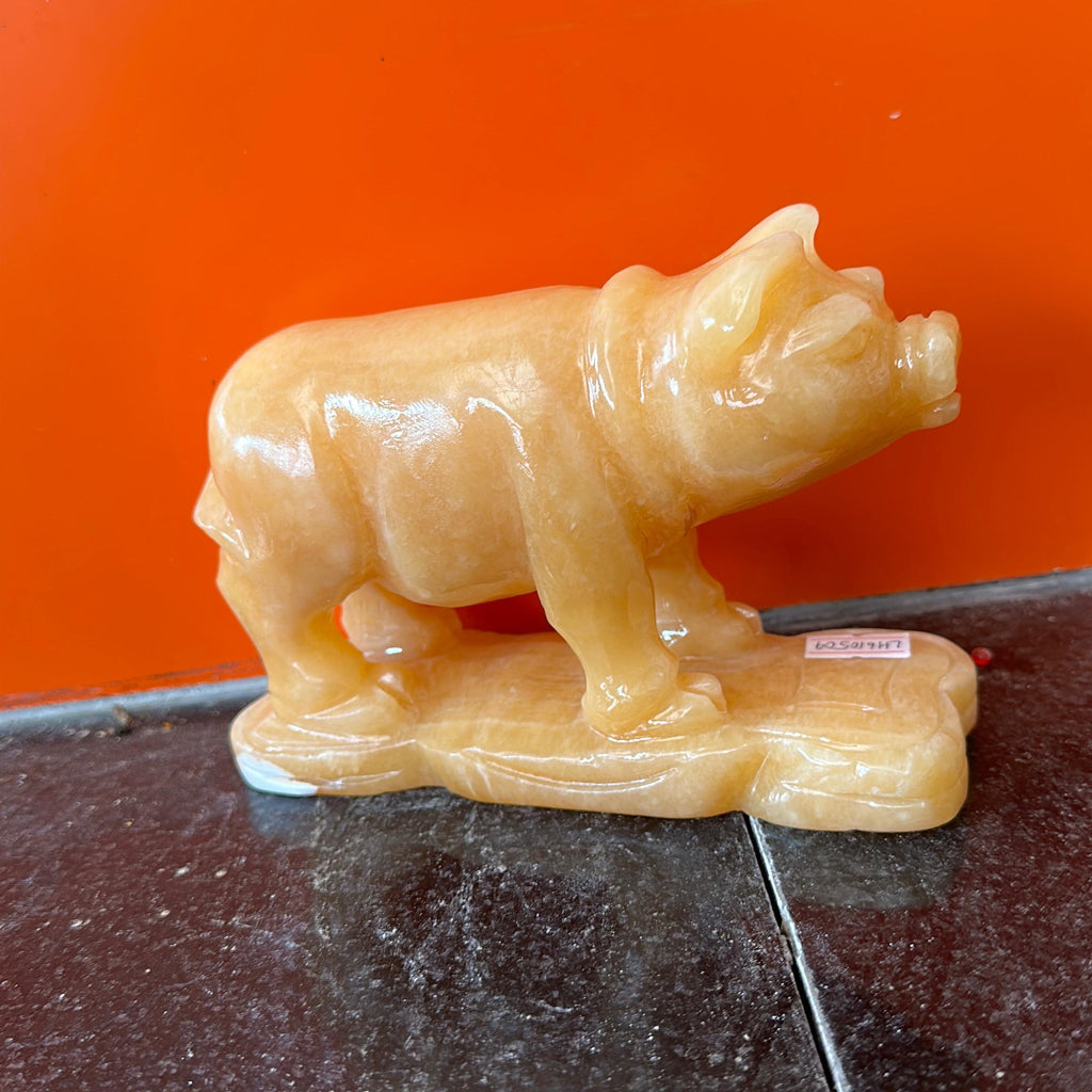 Heo  vàng  đá ngọc hoàng long
