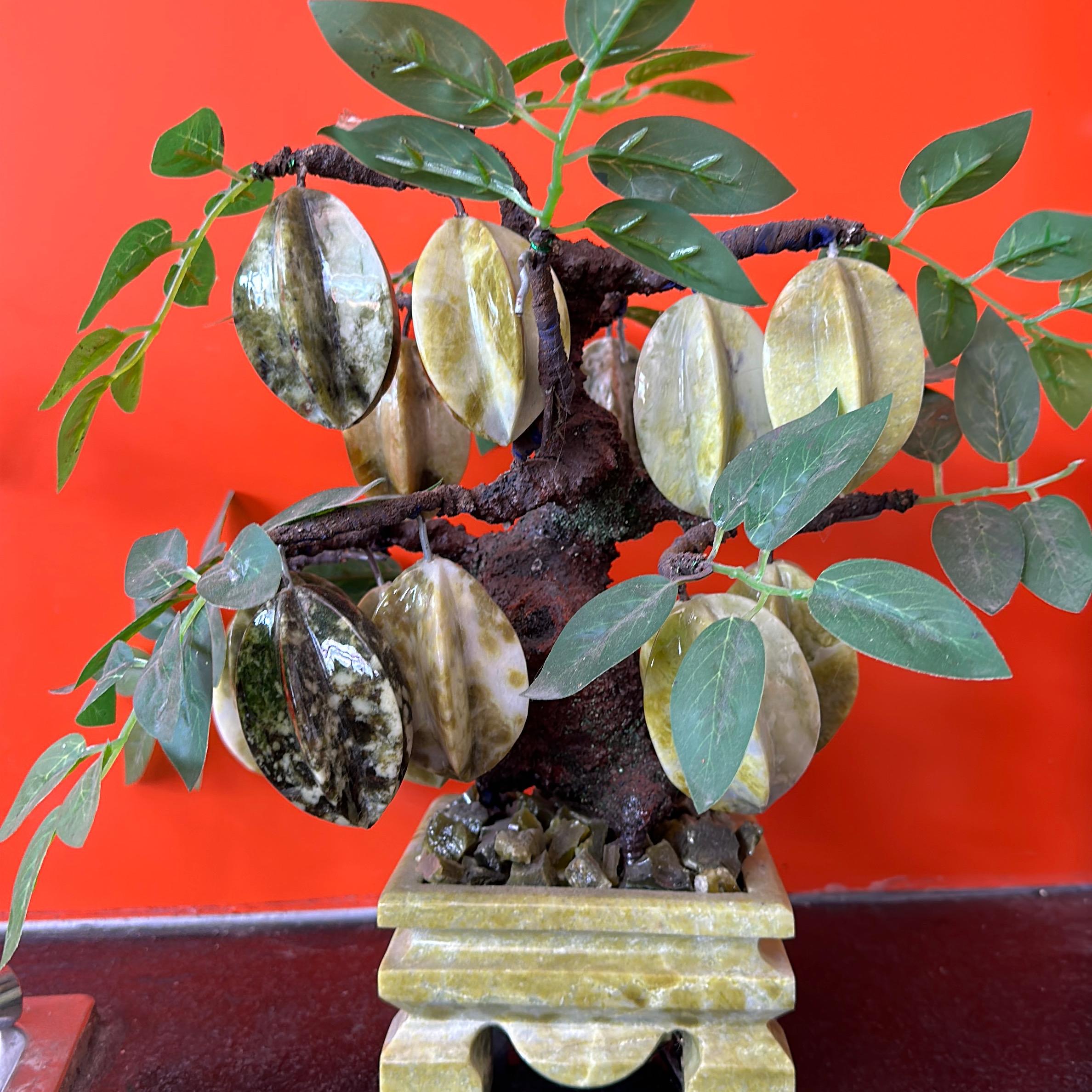 Cây khế  đá sapentin 18 trái