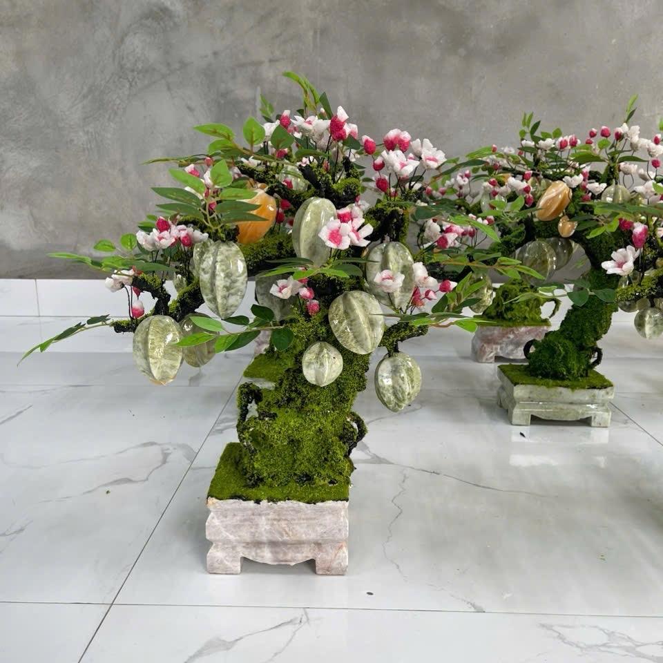 Cây khế   Xanh  đá sepentin  trưng phòng khách ạ