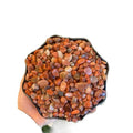 Đá thạch anh vụn đủ màu, chơi phong thủy, rải nền,trấn trạch, rải gốc cây cảnh..v..v..