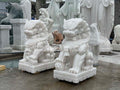 Kỳ Lân đá Trắng - Sa Thạch - Cao 90cm - Tạo Điểm Nhấn Trang Trọng - Tân Ngọc Phát